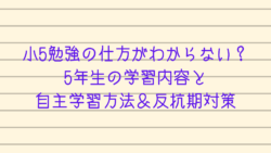 カチイク 中受なし勉強法 カチイク